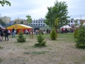 DSC_0184 (3)