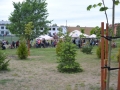 DSC_0185 (3)
